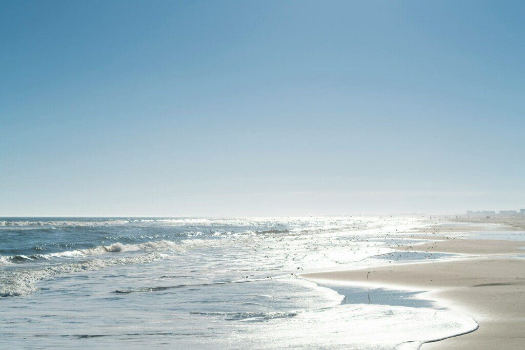 jersey shore